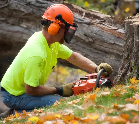 tree services Grand Island